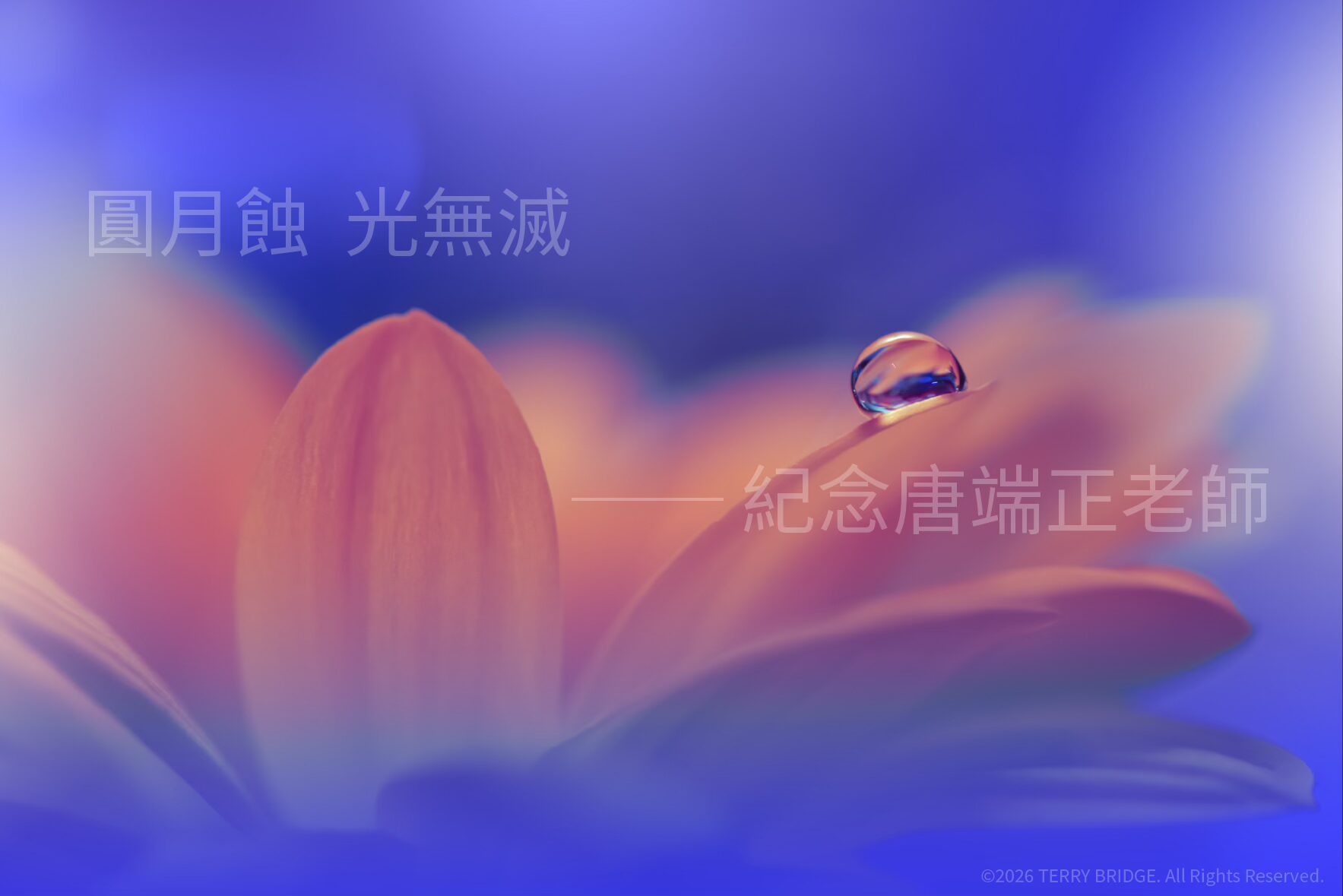 You are currently viewing 圓月蝕 光無滅 ── 紀念唐端正老師 2026.03.03 #145