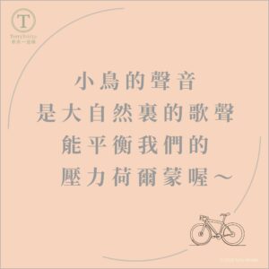 Read more about the article [小編的木鉛筆✏️] 《Soul Care Series~🩷》2026.07.19 #163